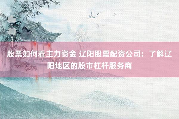 股票如何看主力资金 辽阳股票配资公司：了解辽阳地区的股市杠杆服务商