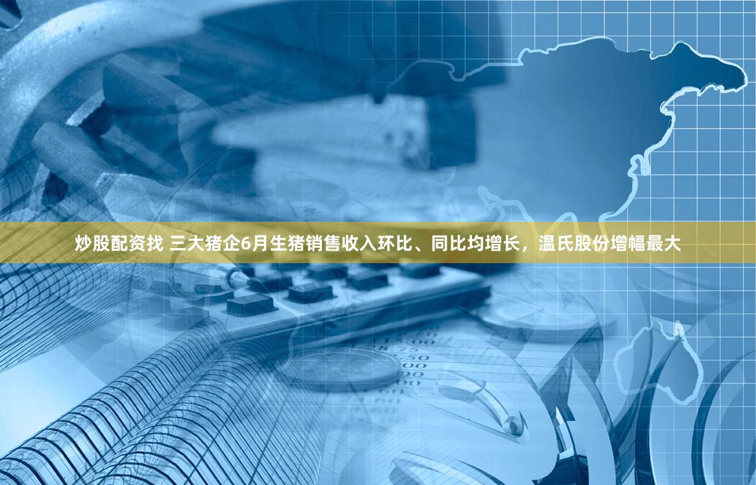 炒股配资找 三大猪企6月生猪销售收入环比、同比均增长，温氏股