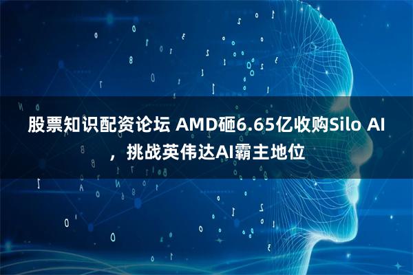 股票知识配资论坛 AMD砸6.65亿收购Silo AI，挑战英伟达AI霸主地位