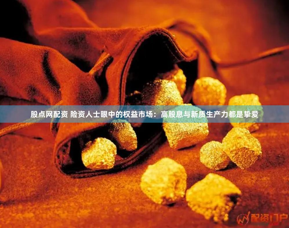 股点网配资 险资人士眼中的权益市场：高股息与新质生产力都是挚爱