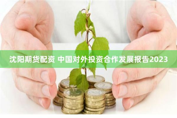 沈阳期货配资 中国对外投资合作发展报告2023